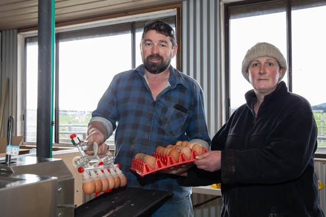 Gippsland Freerange Eggs post image