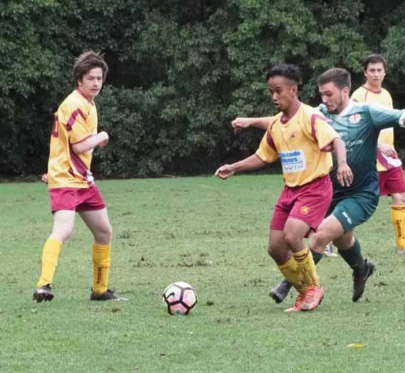 Dragons take on Strikers post image