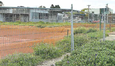 Development put on hold post image