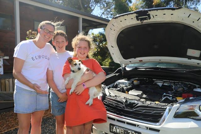 Pippy the Dog - 2020 post image