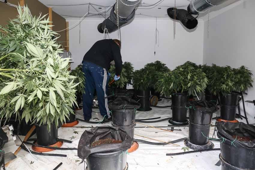Another Drouin drug house post image