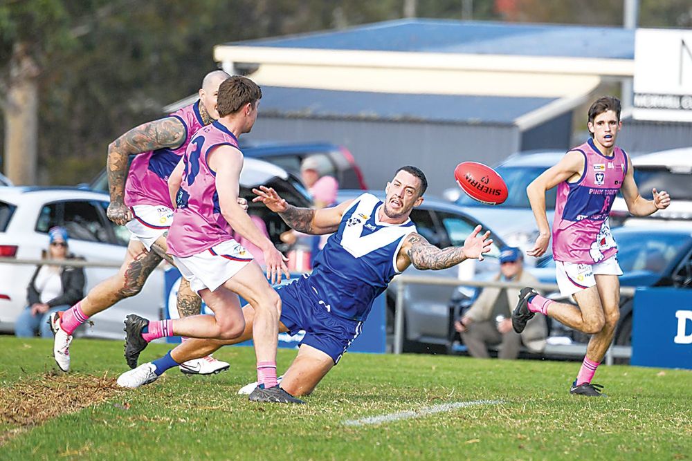 Blues put to the test against strong Kangaroos post image