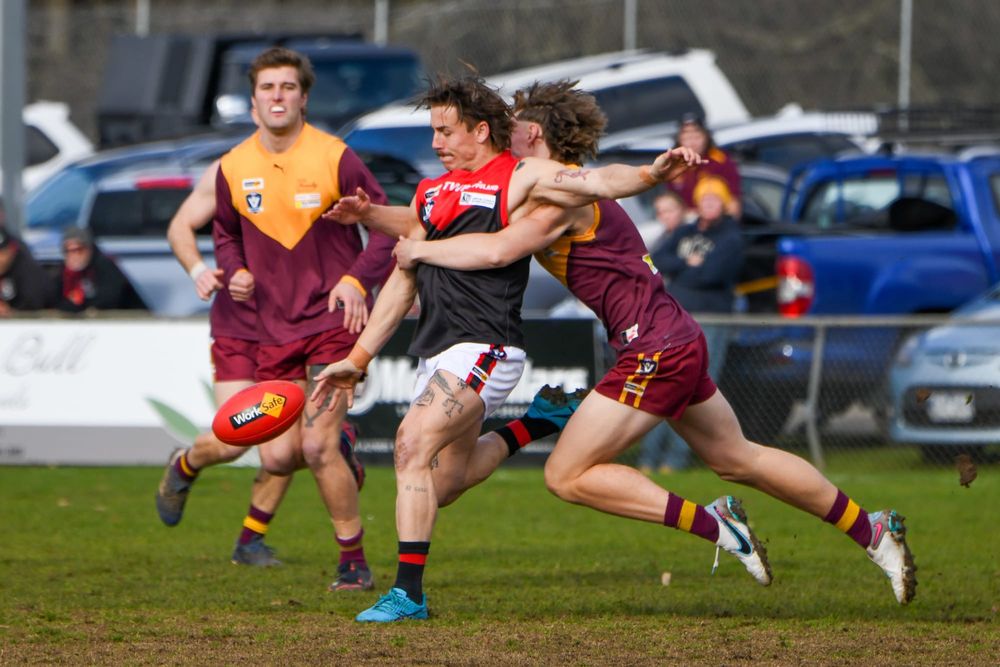 Slick Hawks too good for Gulls post image