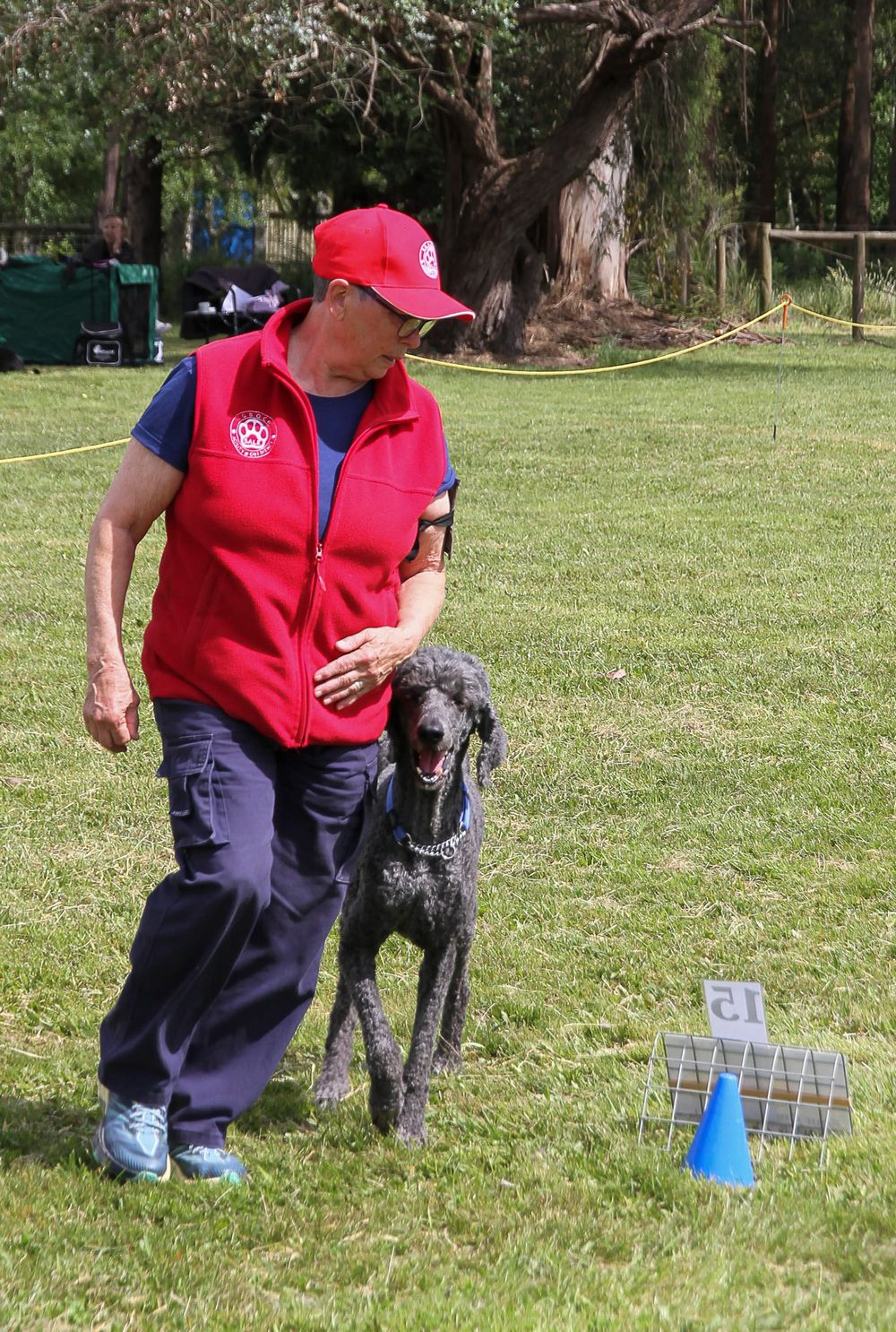 Rally challenge for handlers and dogs post image