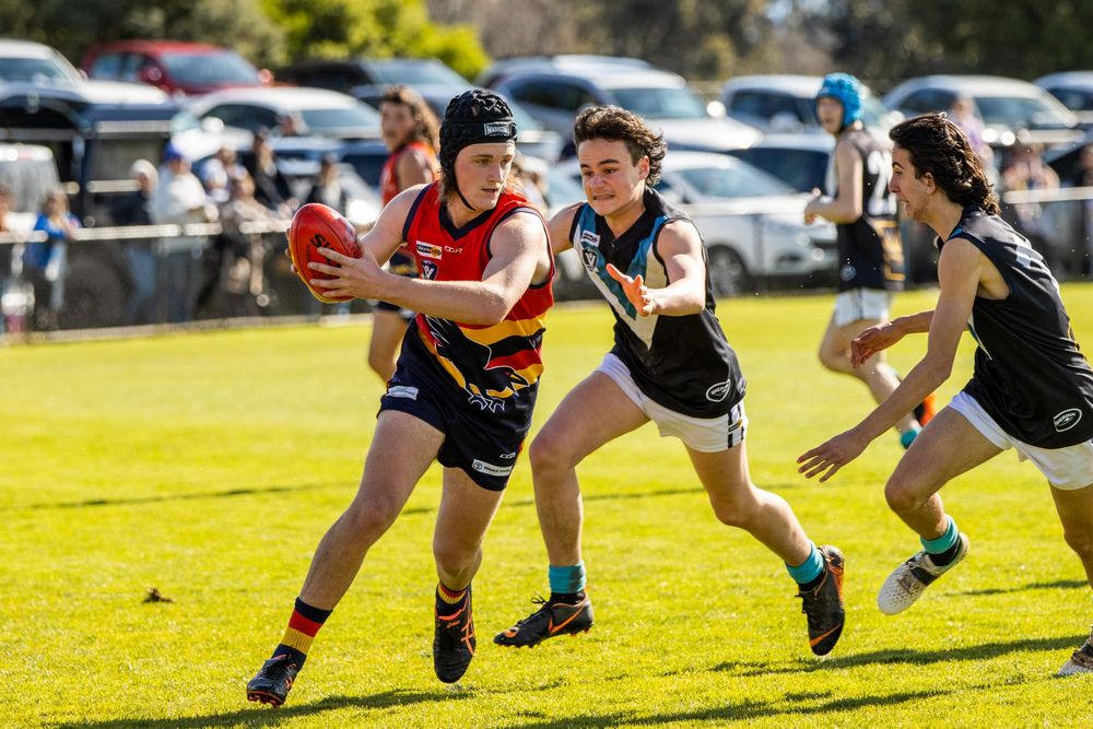 Crows keep Panthers at bay post image