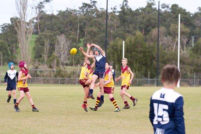 Football WGJFL (U12's) Drouin Gold Vs. Warragul Blues - 05.06.2021 post image