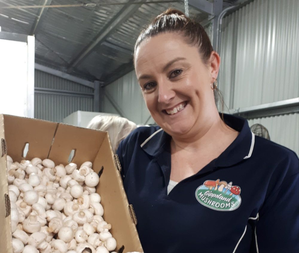 Growing mushrooms for local markets post image