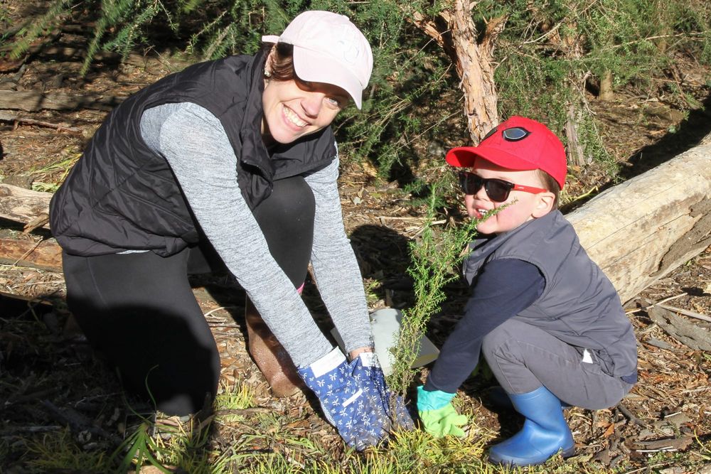 Growing a reserve post image