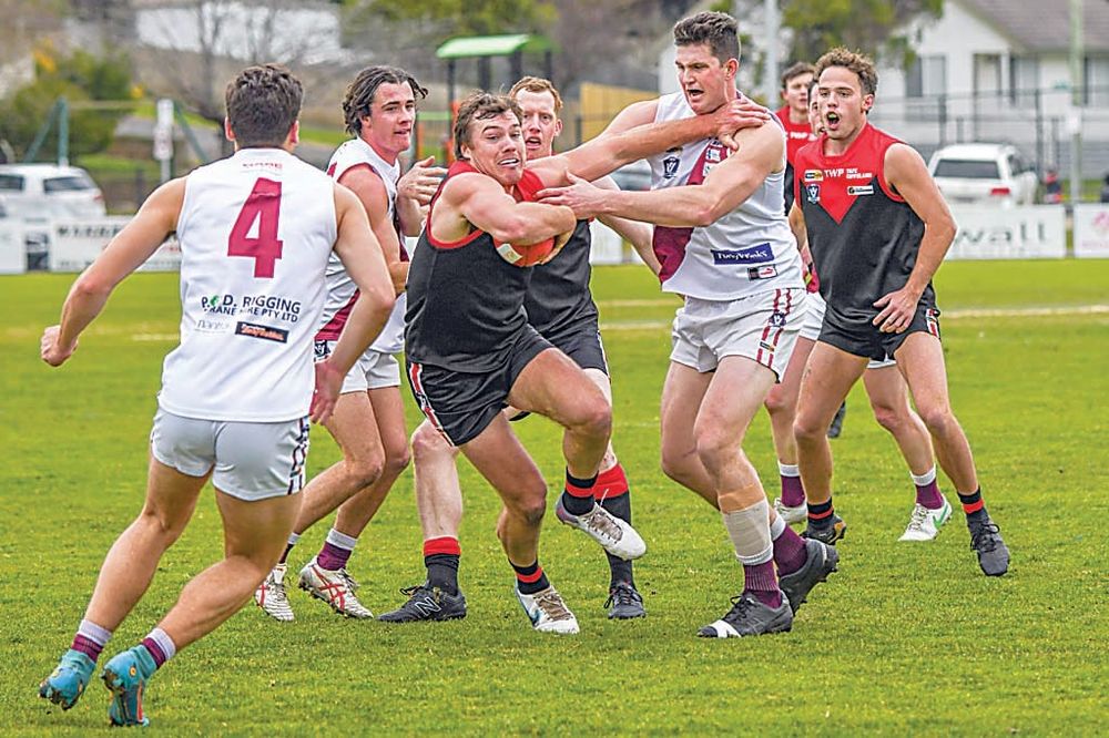 Gulls punished in Maroon mauling post image