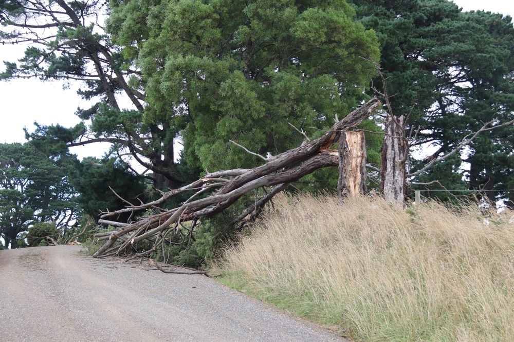 Storm battering post image