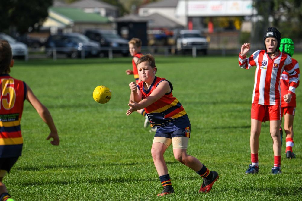Football WDJFL (U12's) Trafalgar Vs. Longwarry - 30.04.2022 post image