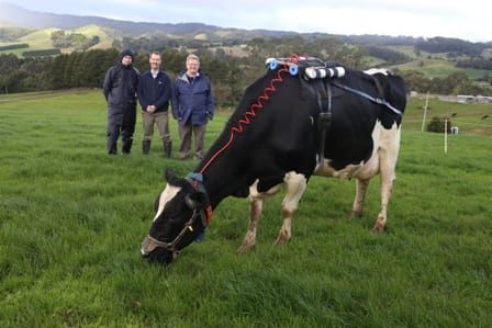Slashing methane emissions post image