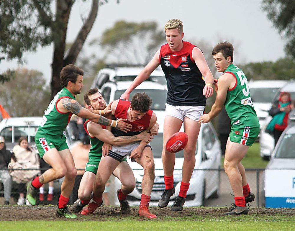 Seagulls swoop to seal seniors premiership post image