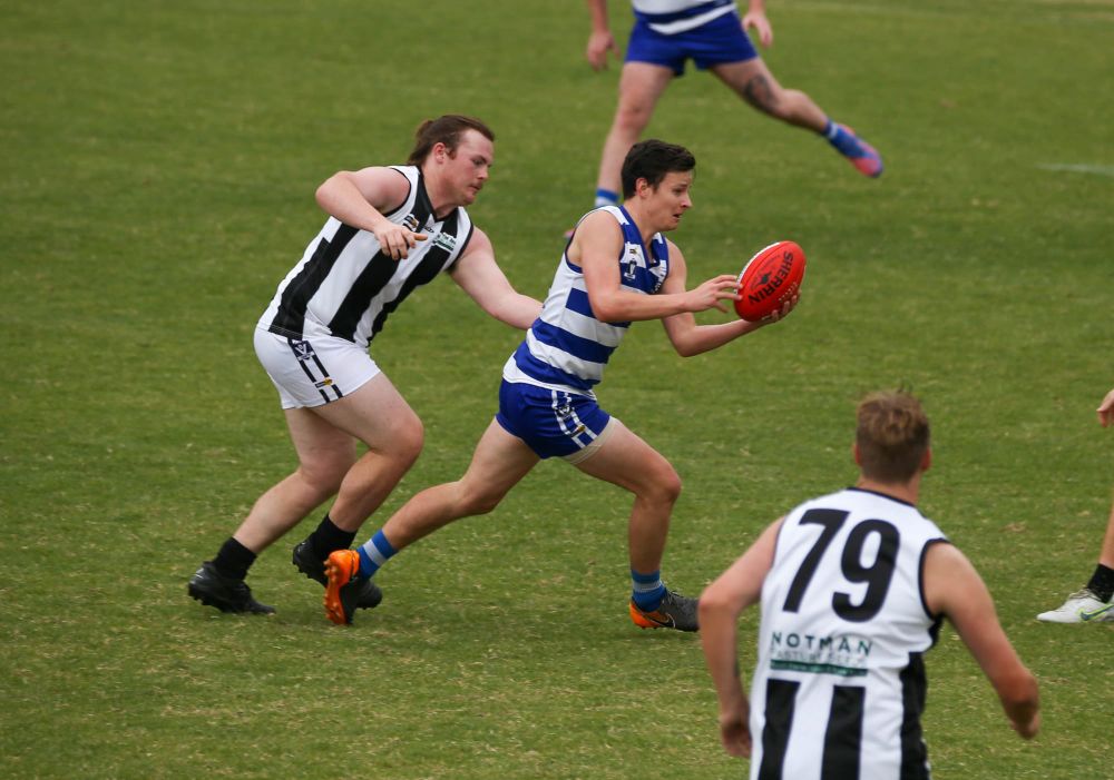 Cats crush Magpies post image
