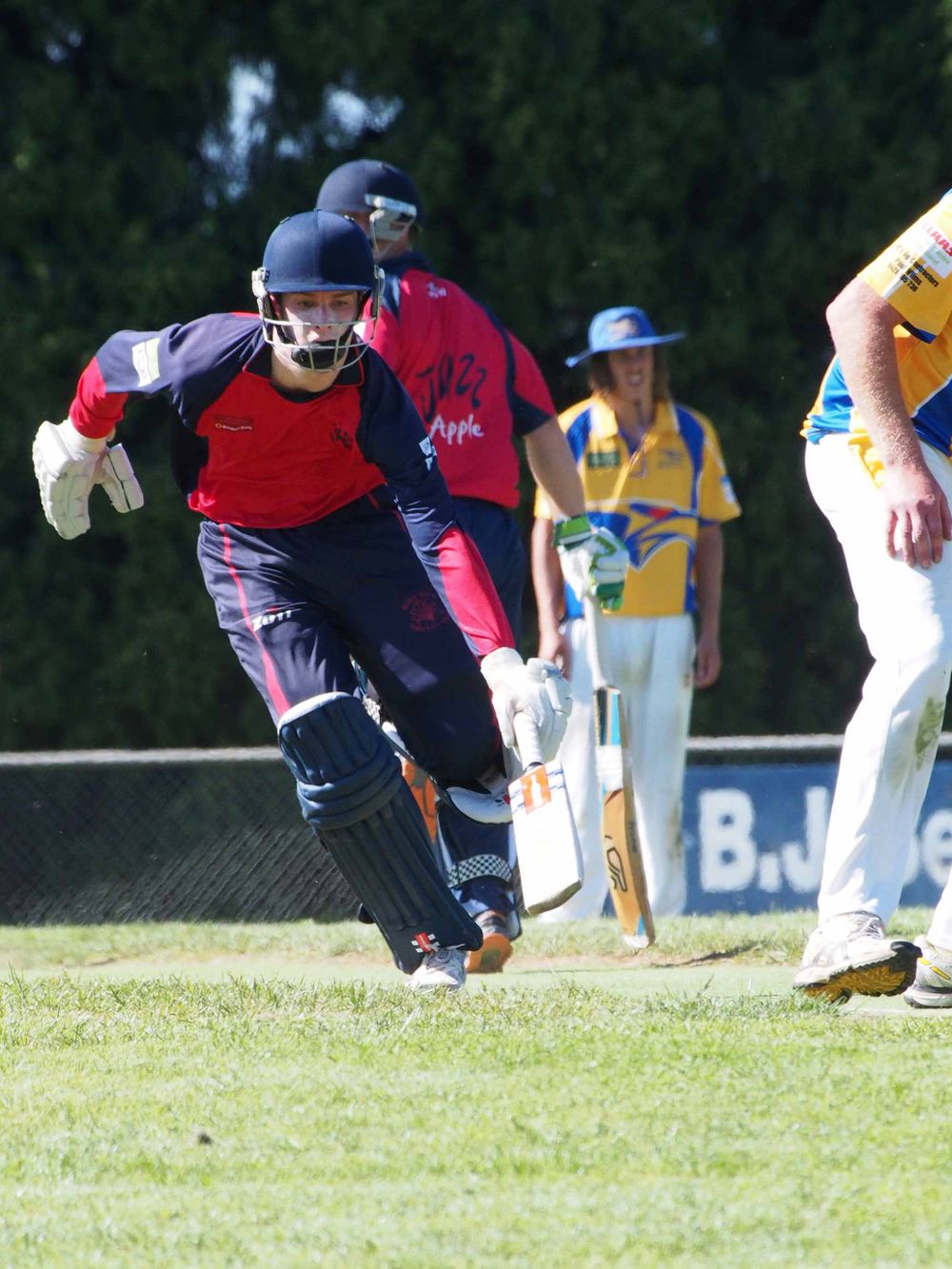 Local cricketers playing with Pride post image