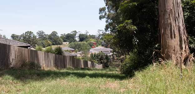 Bushfire waiting to happen post image