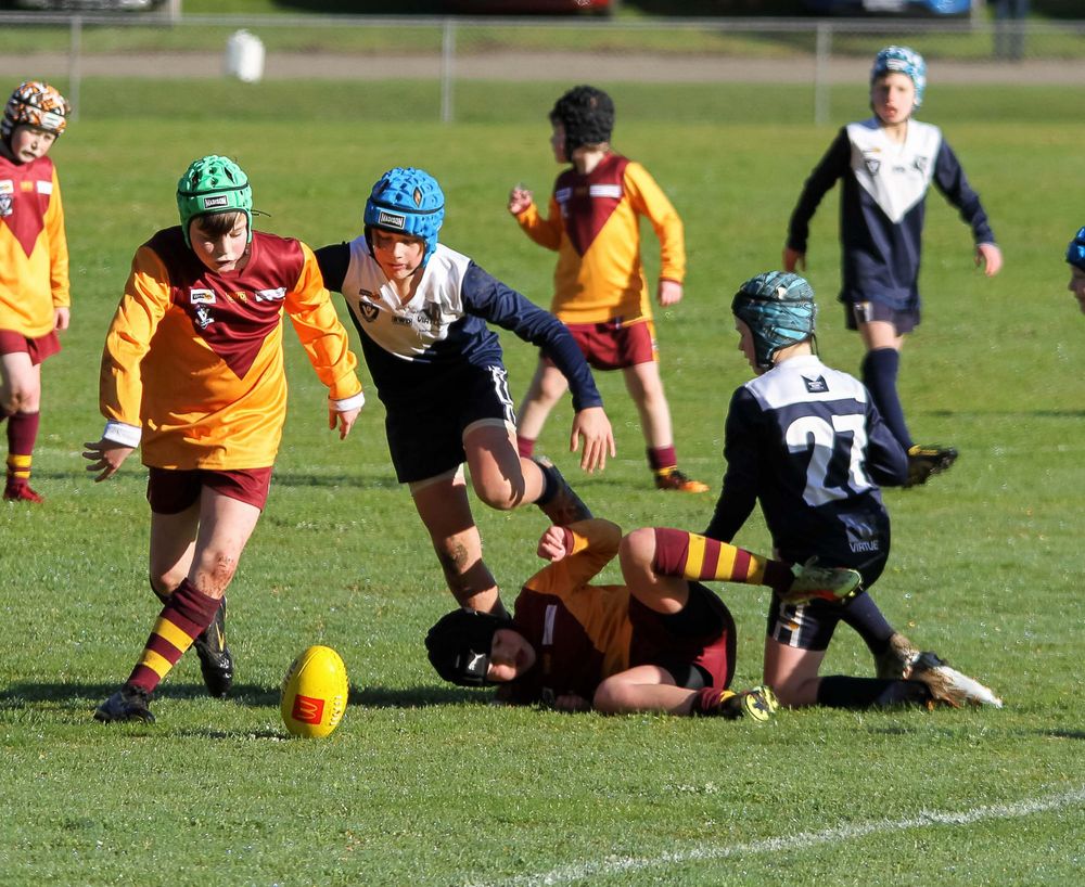 Football Juniors (U10's) Warragul Blues Vs. Drouin - 30.07.2022 post image