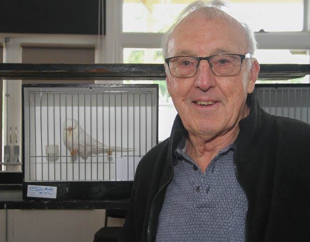 Budgerigar Society - 19.11.2023 post image