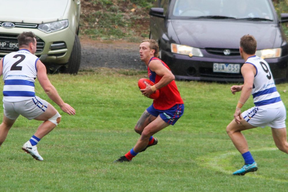 Another challenge for Lyrebirds as Eagles await in EDFNL post image
