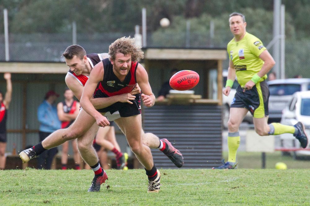 Cats face undefeated Eagles, Tigers travel to Traf in top four battle to headline Round 7 of EDFL post image