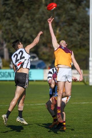 Football GFNL Seniors - Sale Vs. Drouin - 29.07.2023 post image