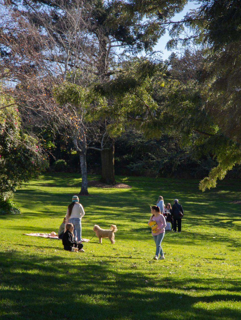 Parks and reserves rezoned in "tidy up" post image