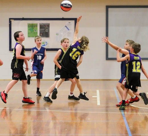 Basketball (U10's) - Bunyip Stars Vs. Chalkies Tigers - 28.07.2023 post image