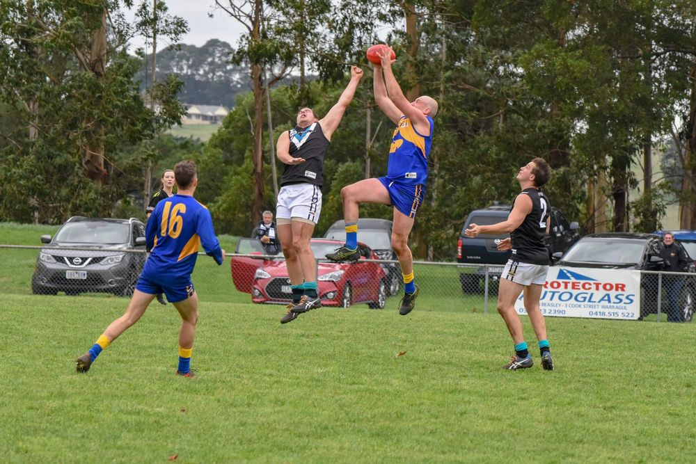 EDFL and EDNA begin talks to amalgamate for 2022 post image