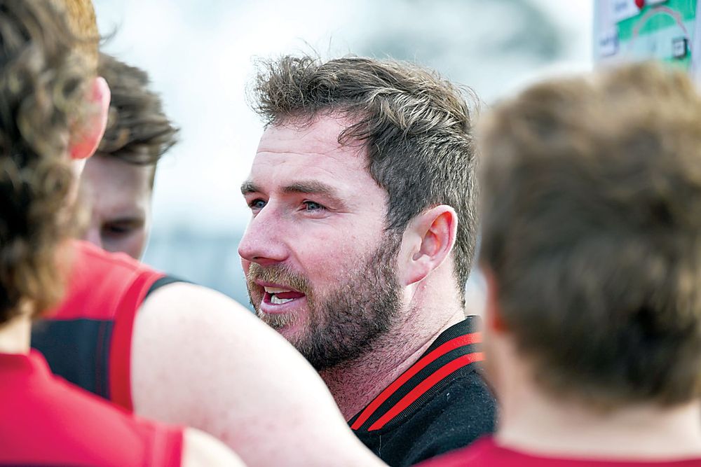 Gulls fade late post image