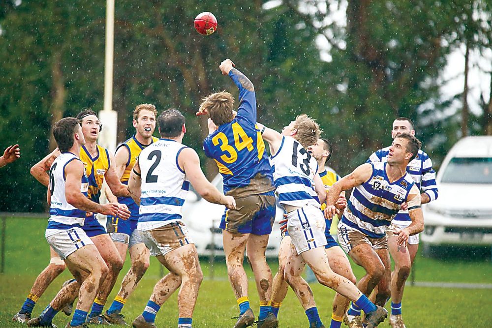 Cats host Eagles in bumper Ellinbank District twilight clash post image