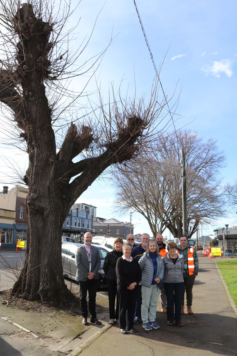 Queen St Trees - 16.08.2022 post image