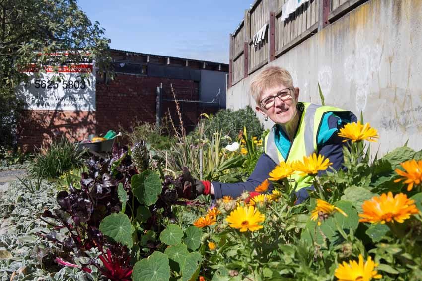 Heather cares for Drouin’s gardens post image