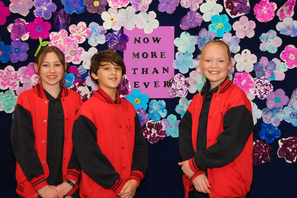 Collage of strength and resilience post image