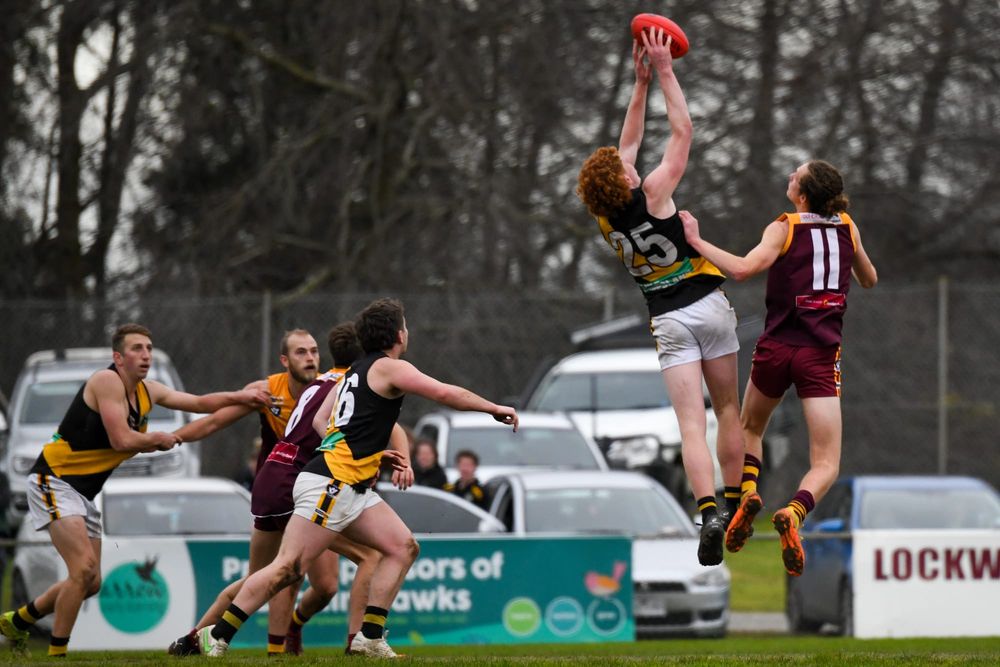 Hawks full of heart in close defeat post image