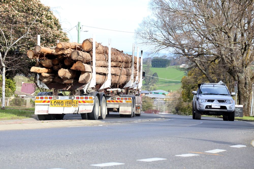 Report recommends forest fire overhaul post image
