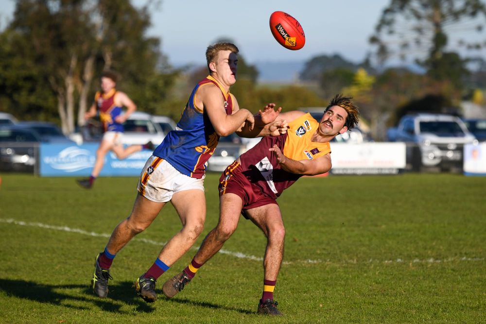 Improved Hawks lose no admirers in narrow loss post image