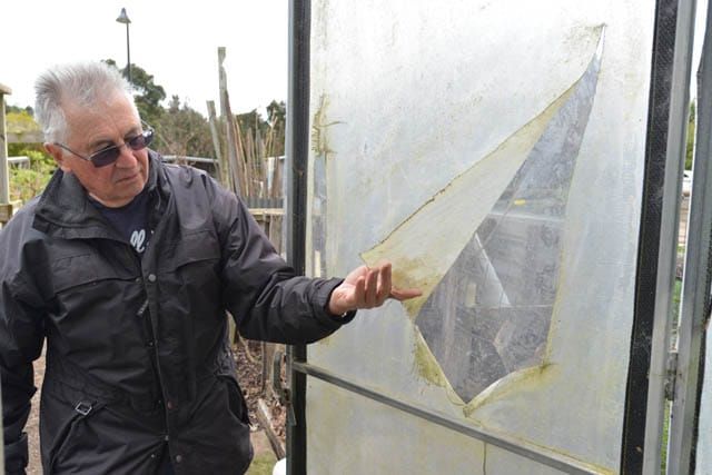 Garden Damage - 31.10.2023 post image