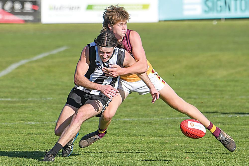 Hawks go down swinging again post image