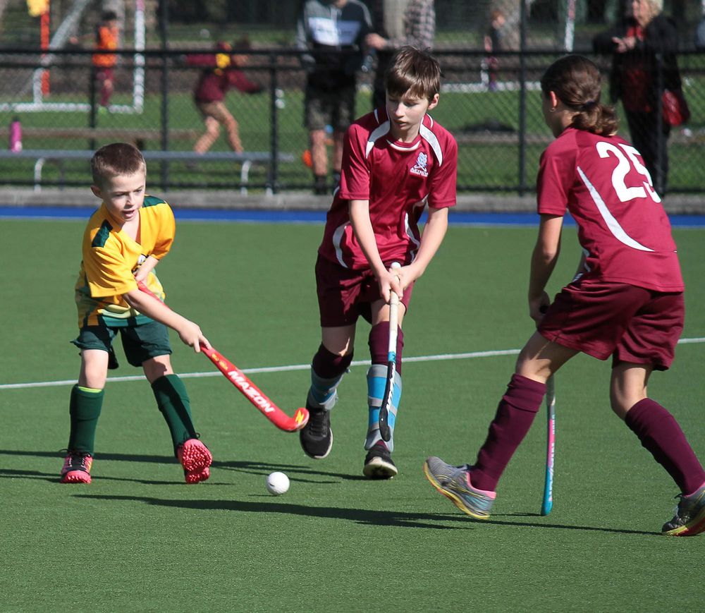 Hockey Gulls Vs. Aztecs 30.04.2022 post image