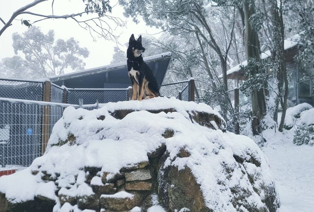 April a balmy autumn month post image