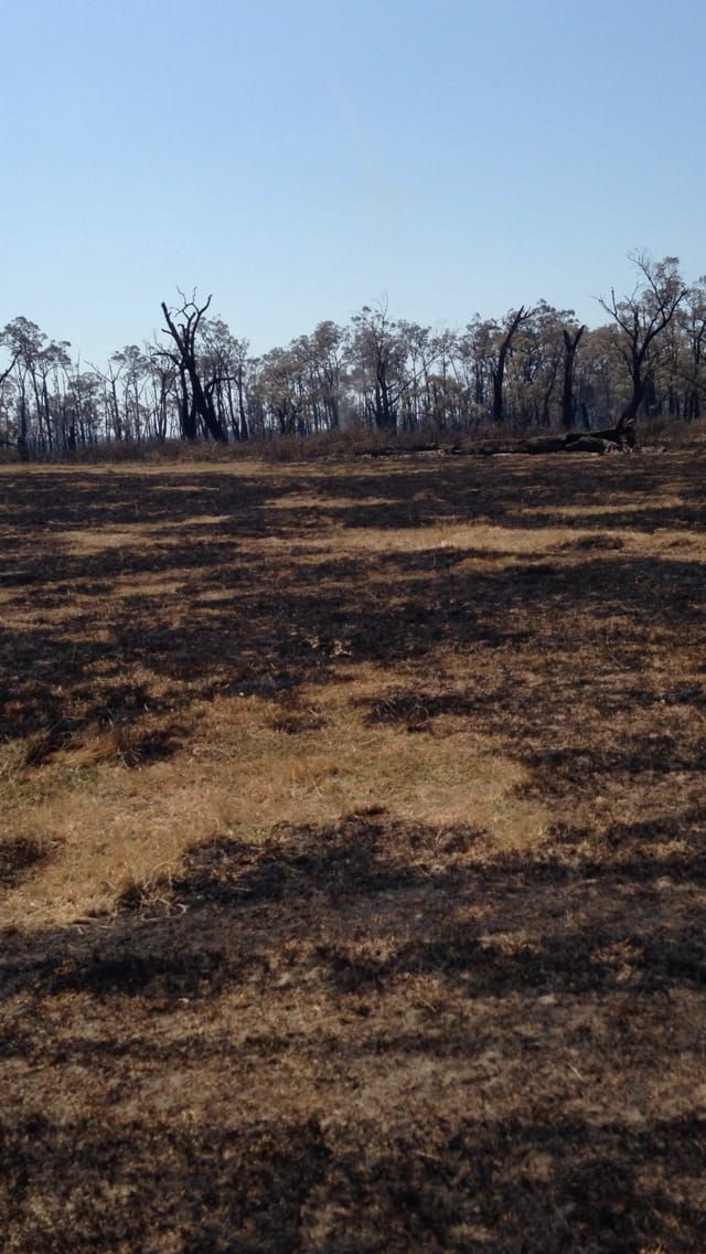 Trafalgar-Westbury Fire post image