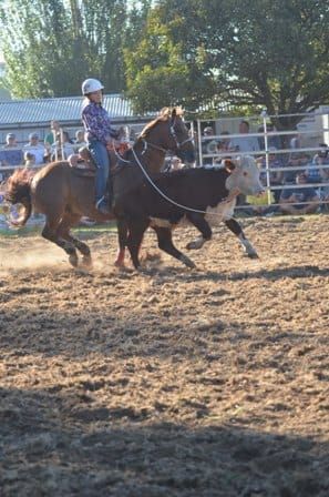 Rodeo's dusty success post image
