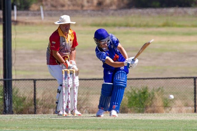 Cricket Div 2 Western Park Vs. Drouin - 19.02.2022 post image