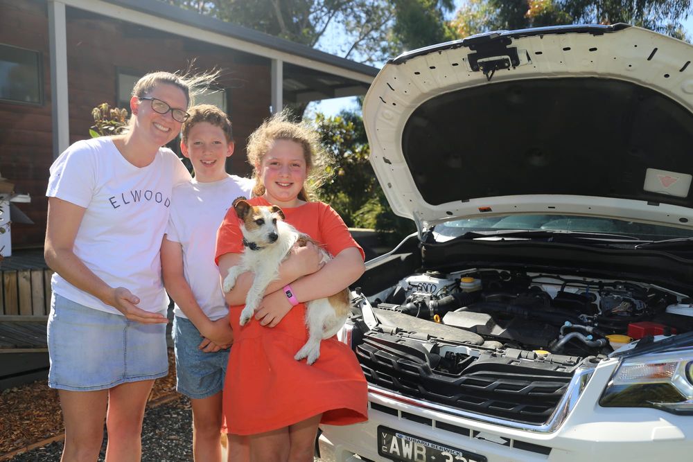 Pippy the pooch found safe and sound after incredible adventure post image