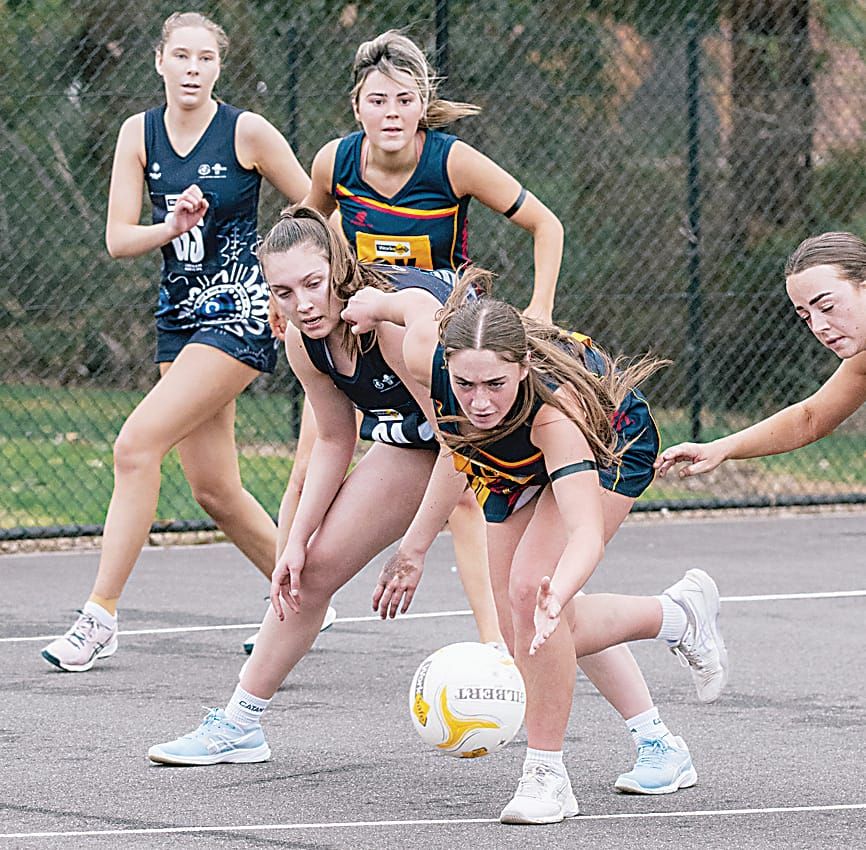 Bloods edge out Tigers in EDFNL netball post image