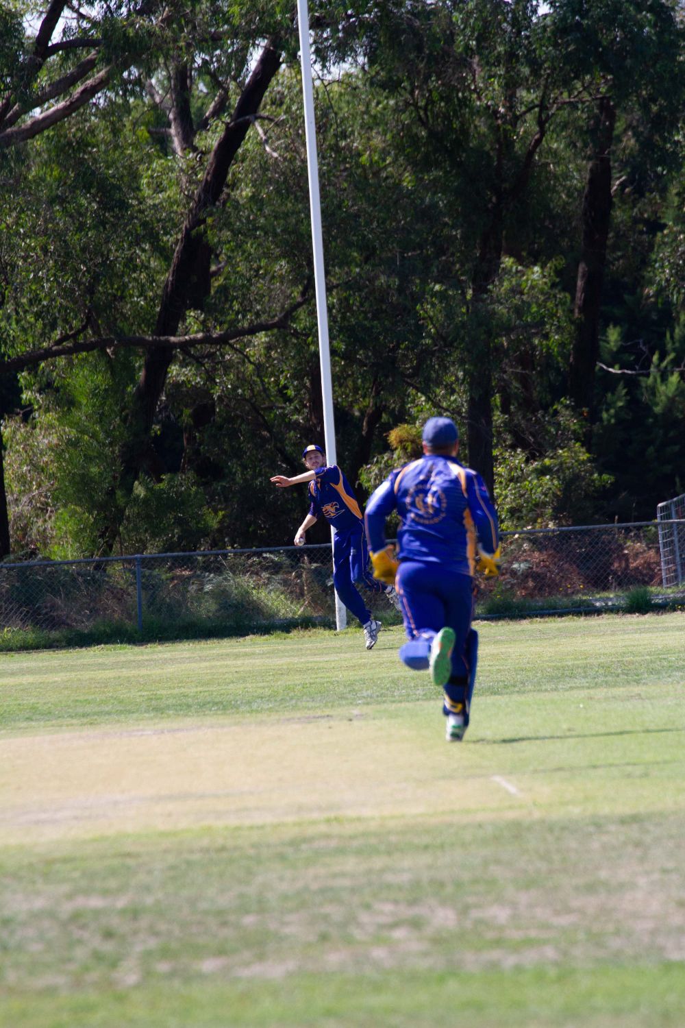 Cricket Div 1 Hallora Vs. Ellinbank - 12.03.2022 post image