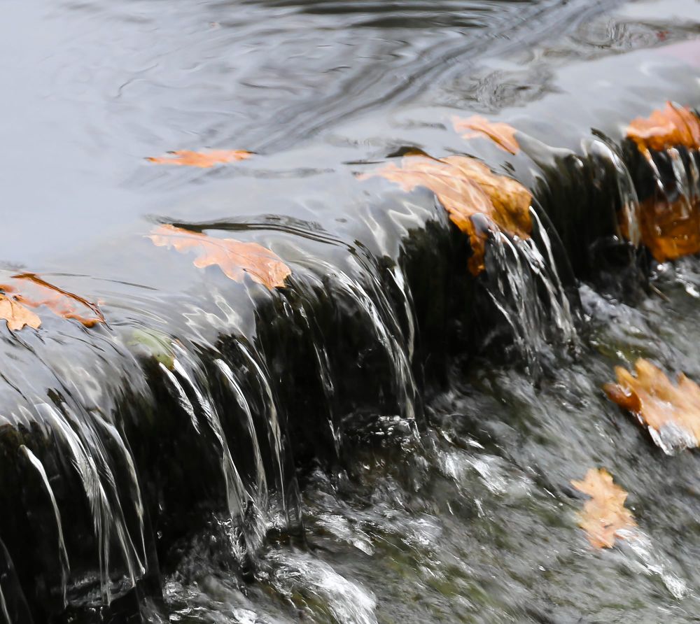 Wetter than normal June boosts average post image