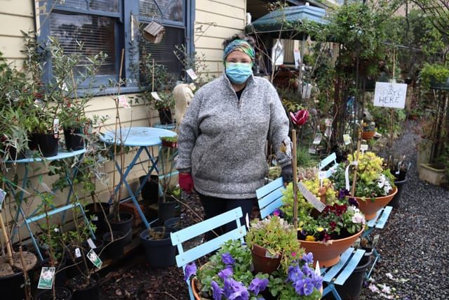 Carol's Nursery - 2021 post image