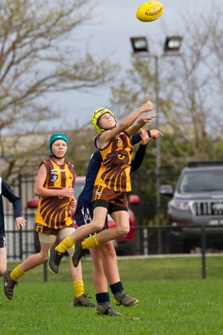 Football SE Juniors U12s Blues v Warranor - 24042021 post image