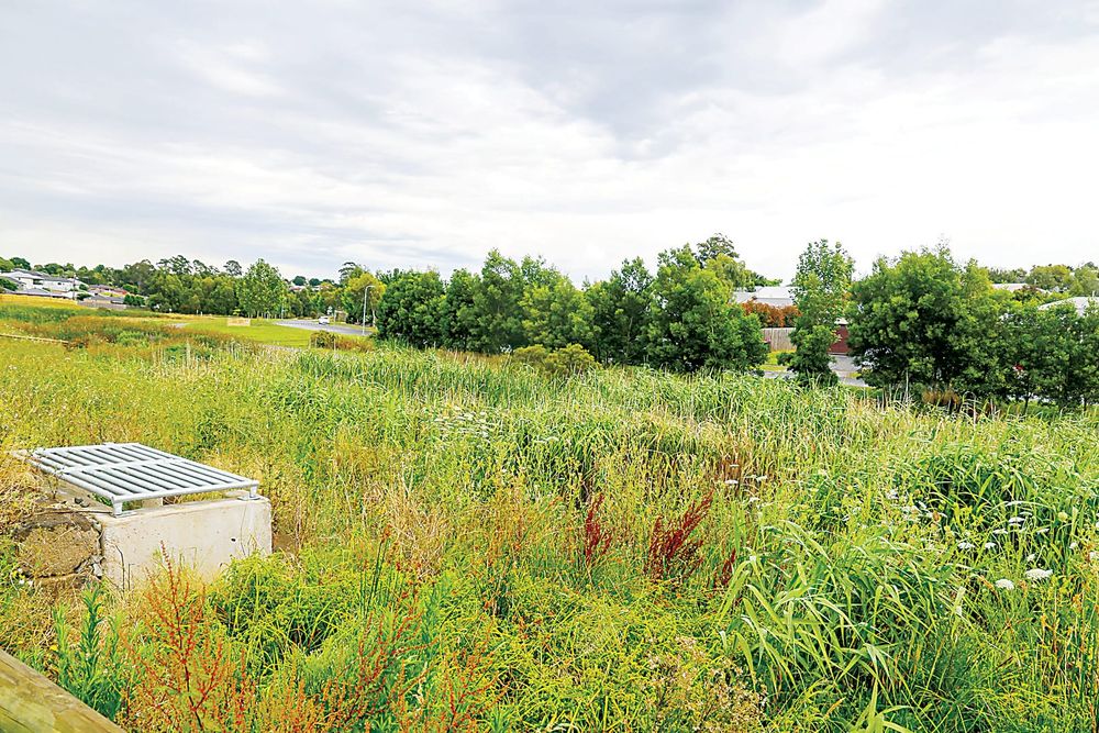 Tree removal upsets Drouin residents post image
